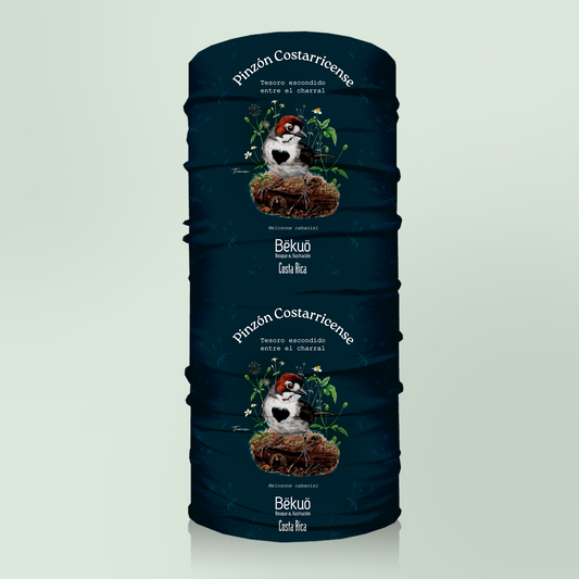 Bandana - Pinzón Costarricense