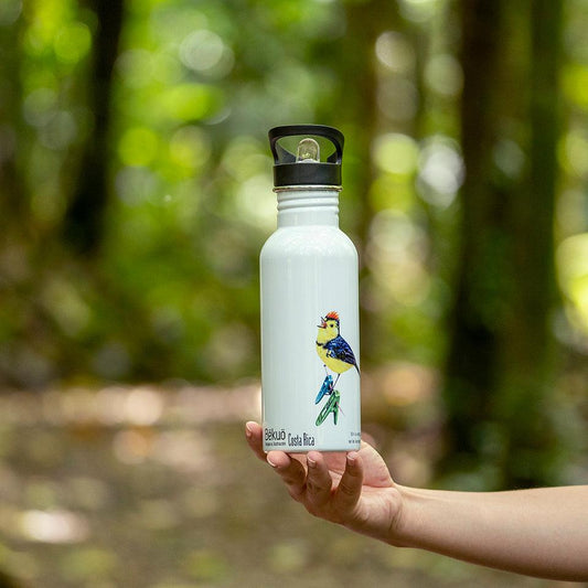 Botella - Amigo del hombre