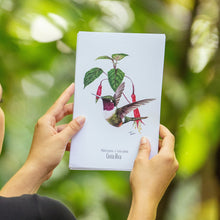 Cargar imagen en el visor de la galería, Print para enmarcar Colibrí Estrellita
