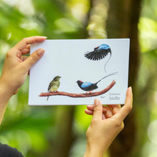 Cargar imagen en el visor de la galería, Print para enmarcar de Danza del manakin
