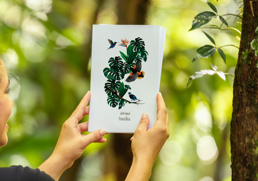 Print para enmarcar - Jardín Tropical