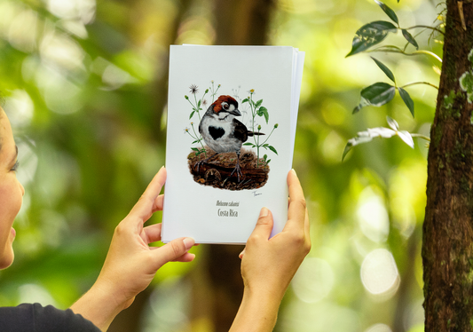 Print para enmarcar de Pinzón Cafetalero Nuevo