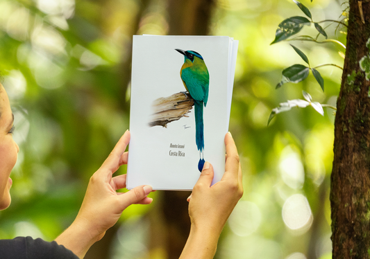 Print para enmarcar - Ecos del pájaro Bobo