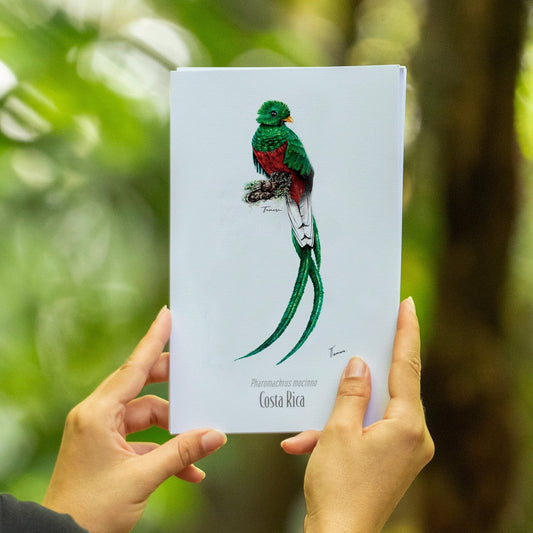 Print para enmarcar - Quetzal