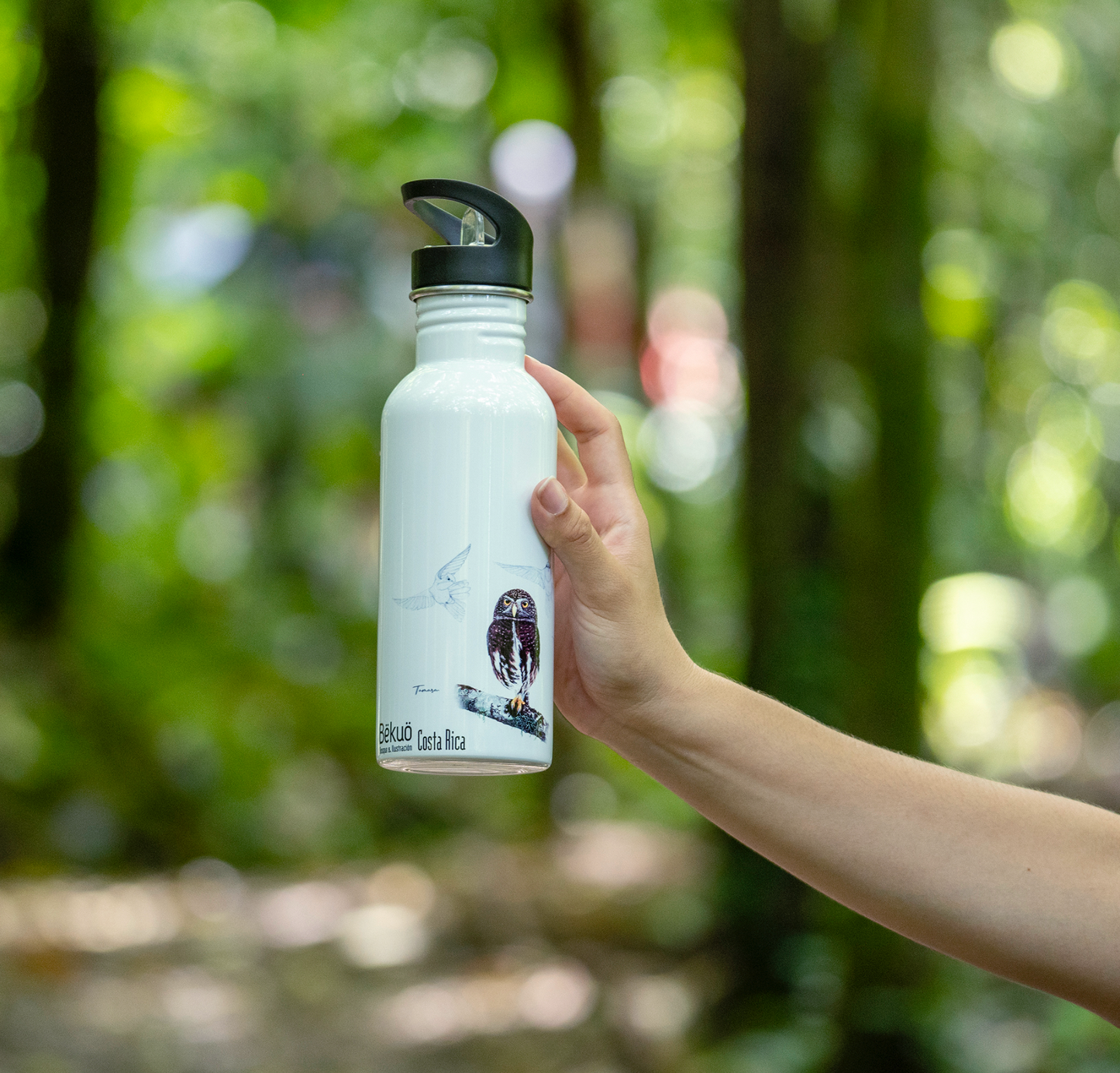 Botella - Mochuelo Endémico de Mochuelo Costarricense