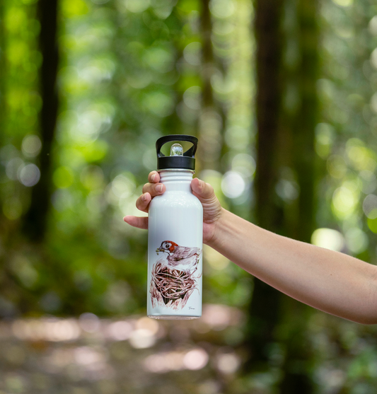 Botella - Pinzón Cafetalero