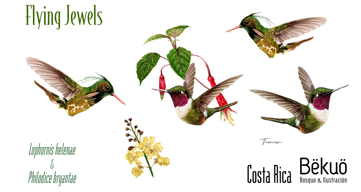 Botella Flying Jewels