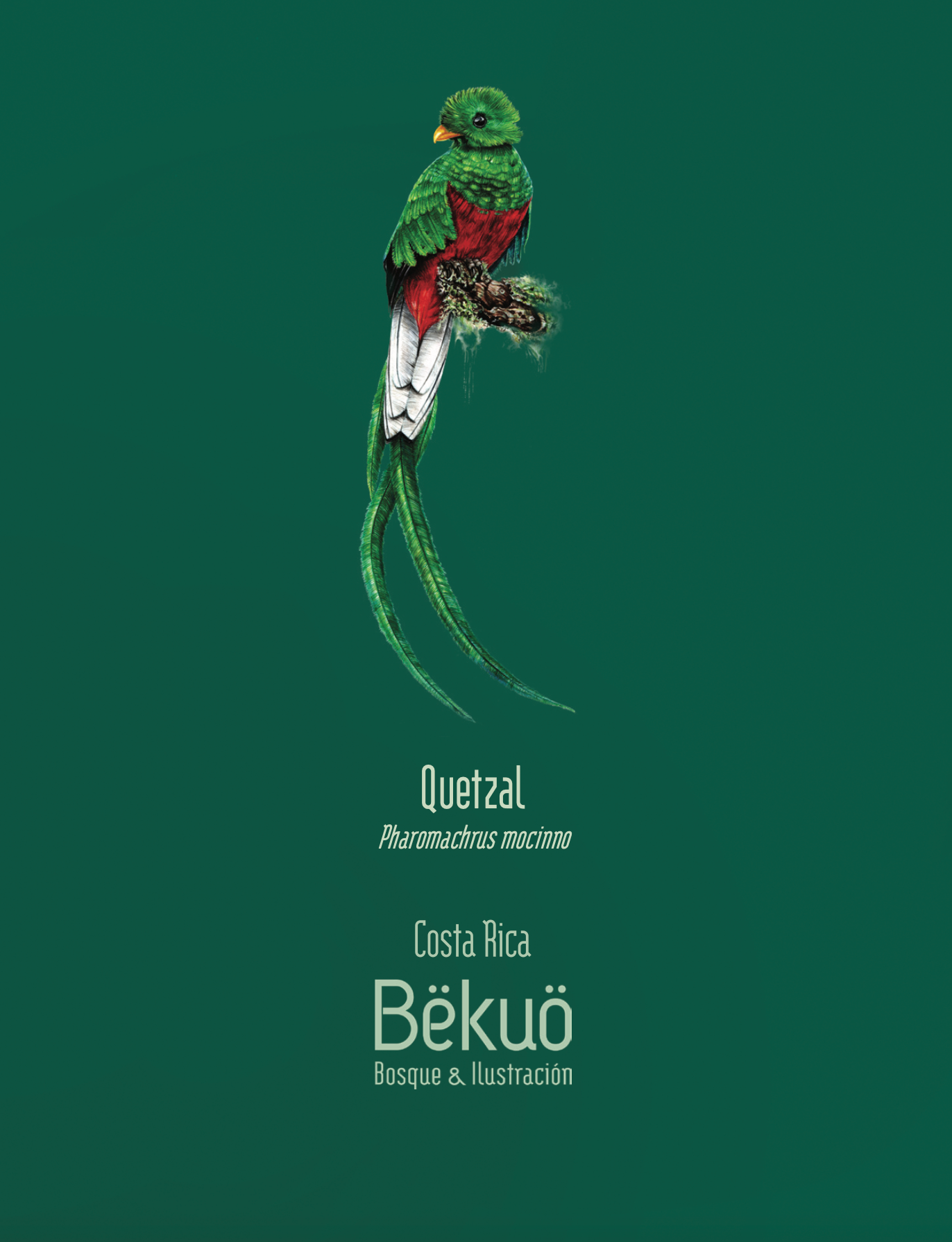 Libreta - Quetzal