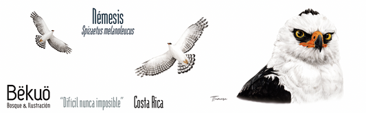 Jarrito de metal - Némesis