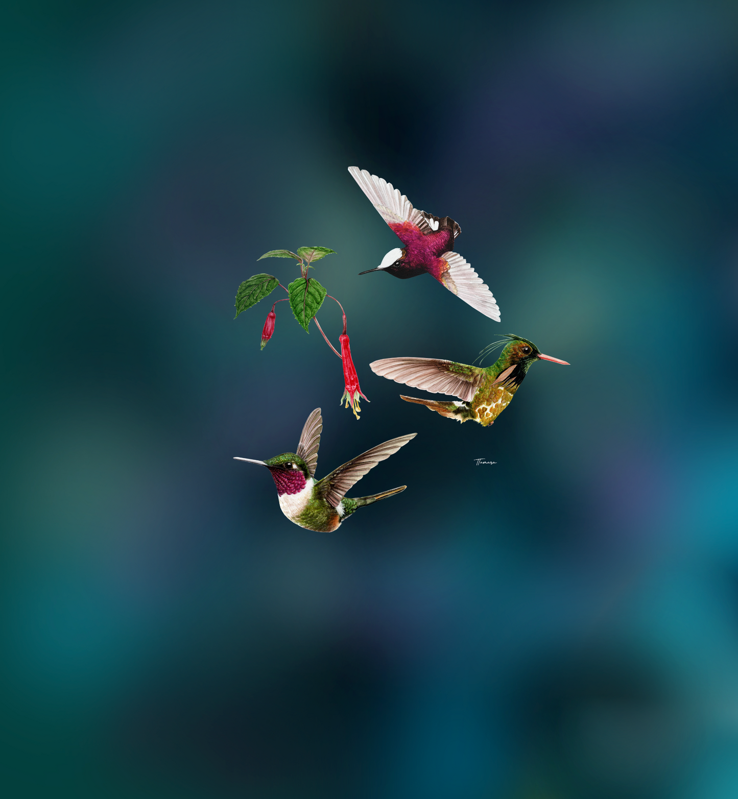 Blusa - Flying Jewels