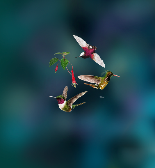 Blusa - Flying Jewels