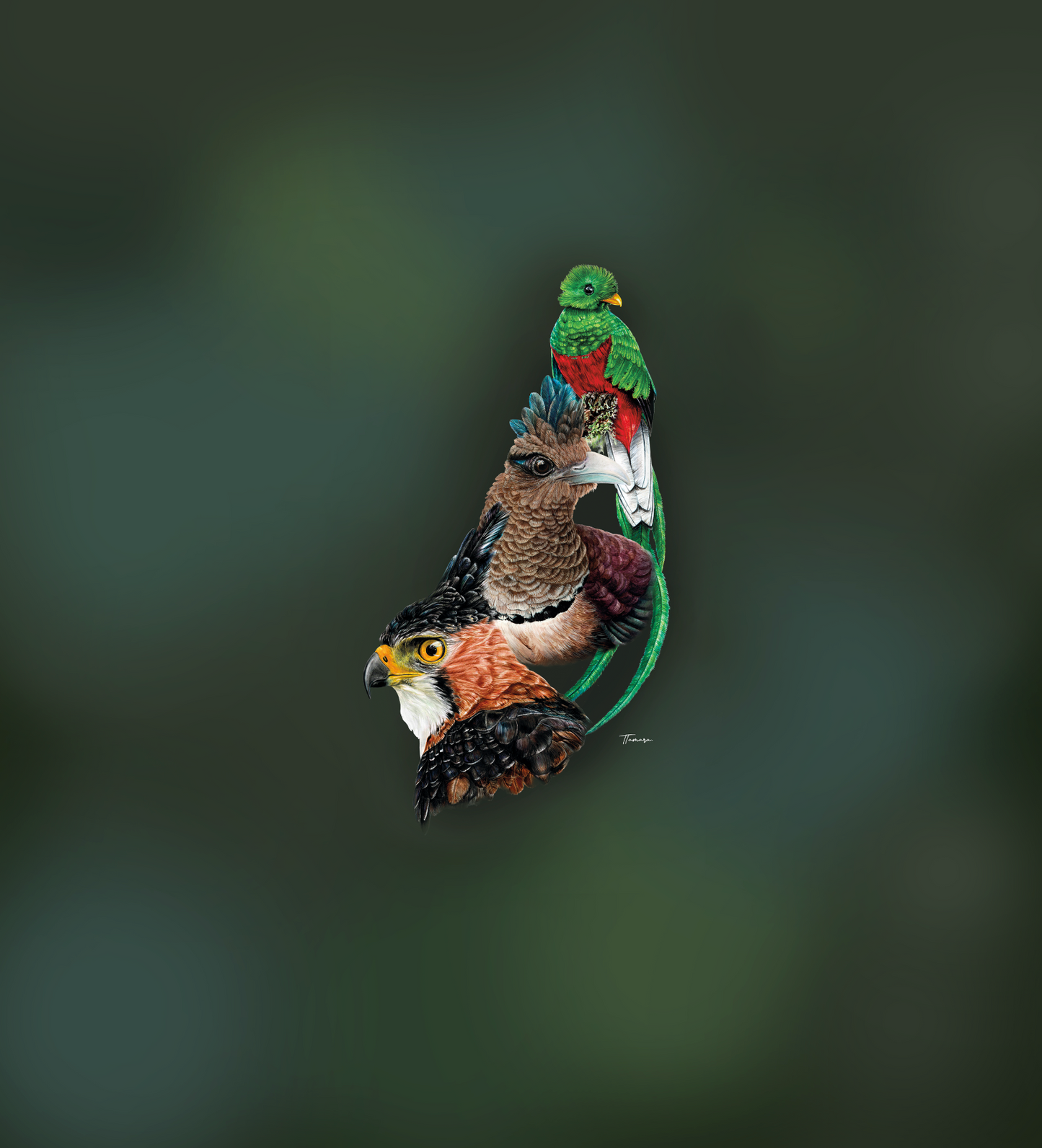 Blusa - Relatos del Bosque