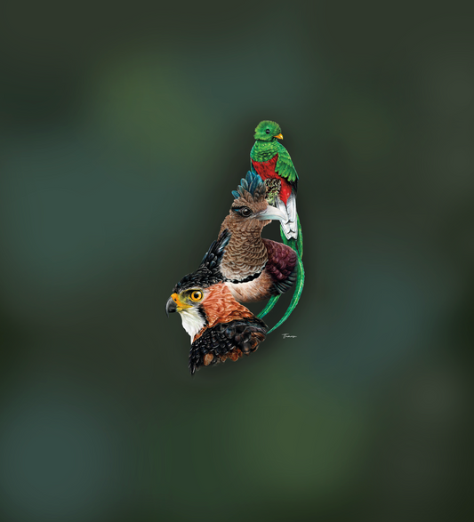 Blusa - Relatos del Bosque