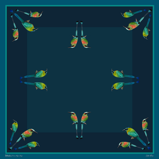 Pañuelo - Momotidae