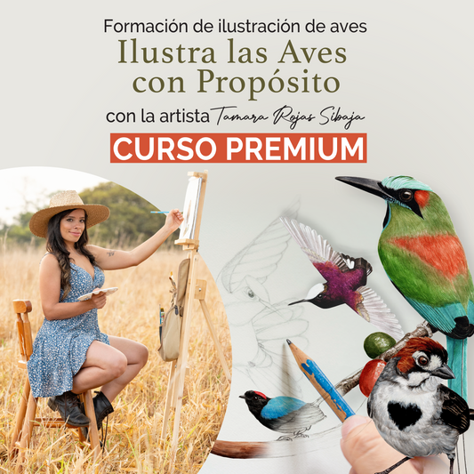 Ilustra las Aves con Propósito Formación PREMIUM