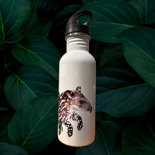 Botella - Danta