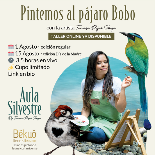 Pintemos al pájaro bobo / Aula Silveste