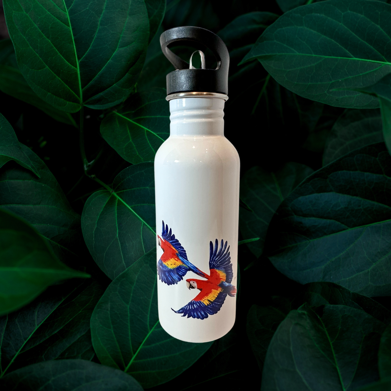 Botella - Lapa Roja