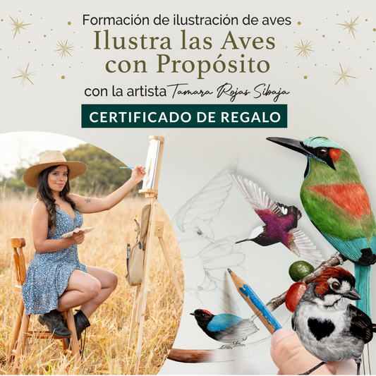 🎁 Certificado de Regalo – Ilustra las Aves con Propósito