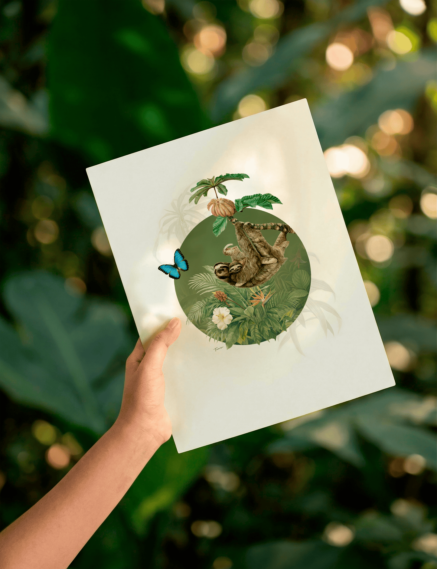 Print para enmarcar A4 - Guanacaste