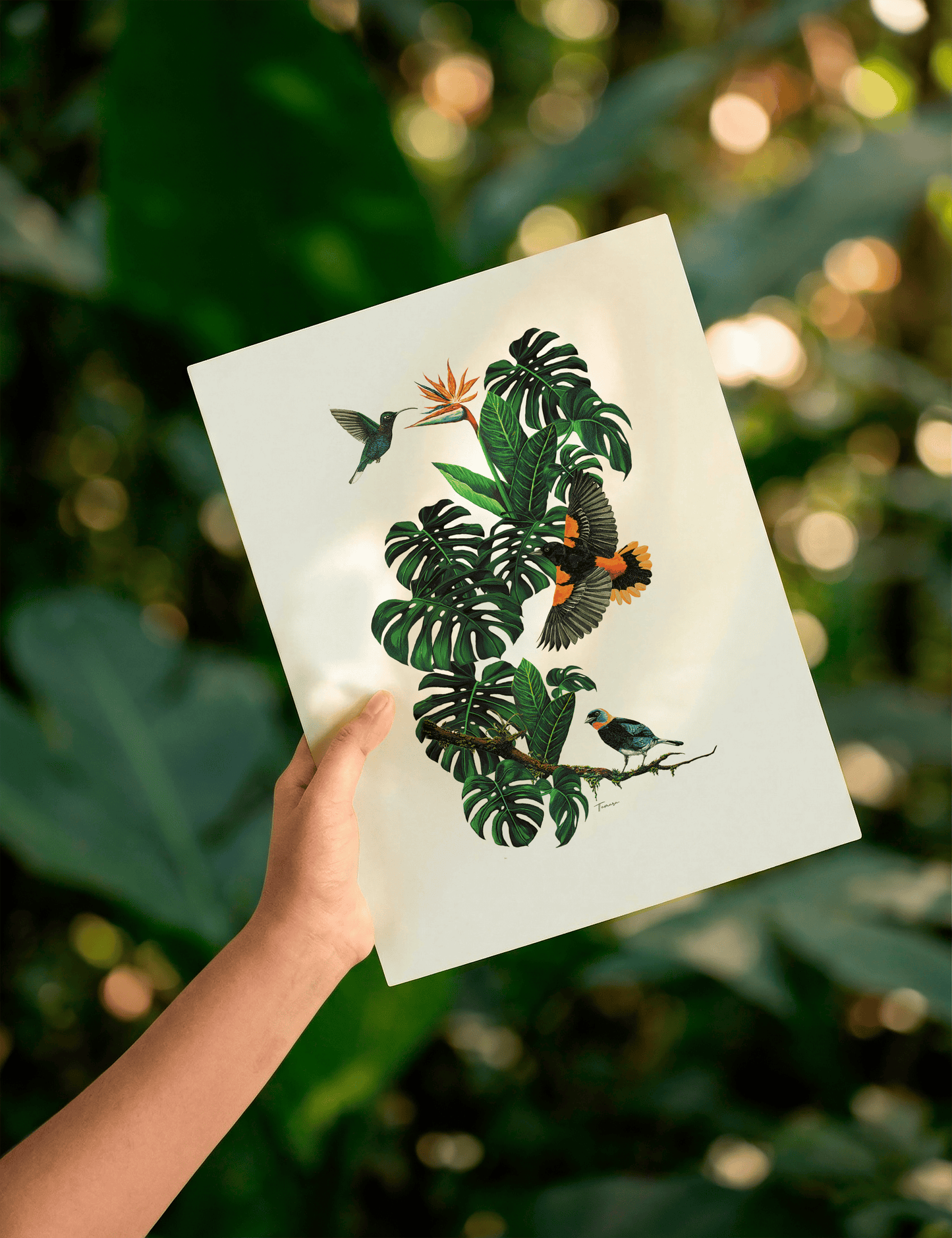 Print para enmarcar A4 - Jardín Tropical