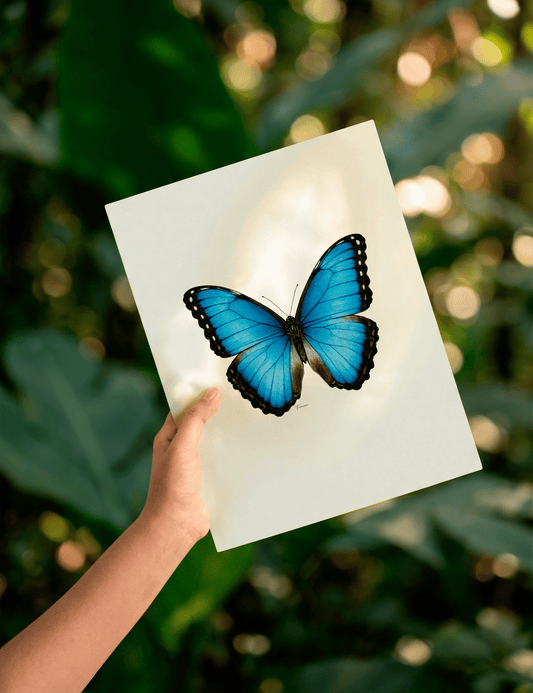 Print para enmarcar A4 - Morpho Azul
