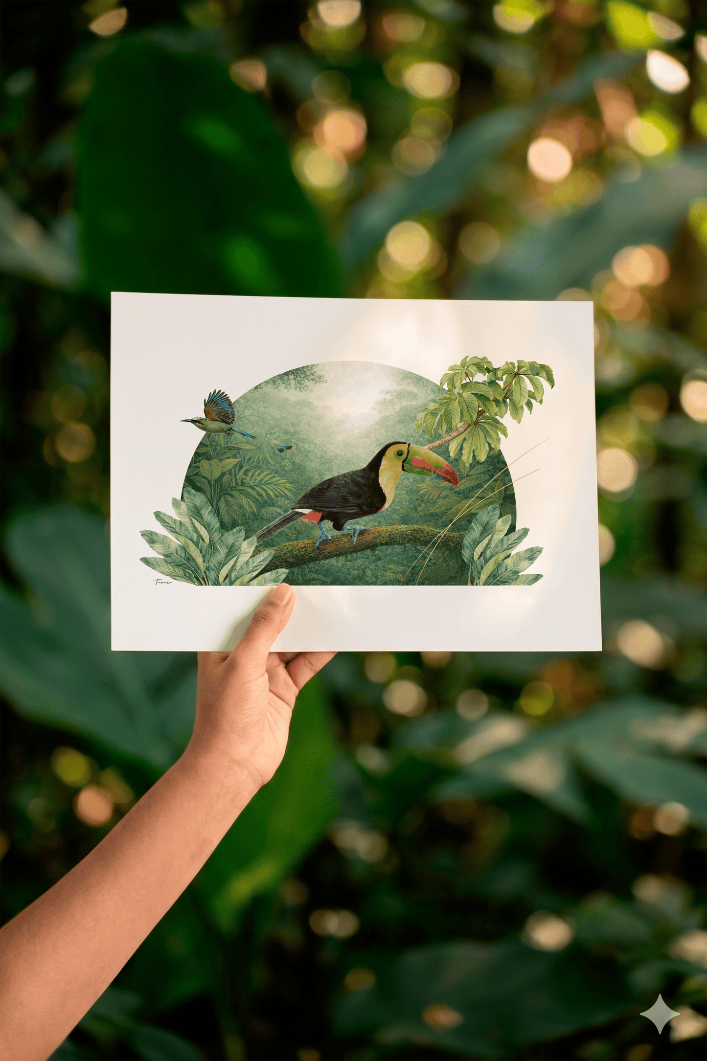 Print para enmarcar A4 - Tucán Pico Iris