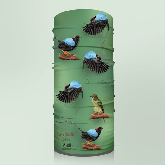 Bandana - Danza del Toledo