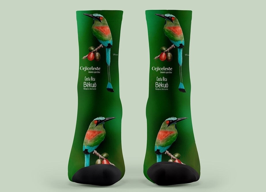 Medias - Momoto Cejiceleste