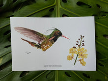 Cargar imagen en el visor de la galería, Print para enmarcar Colibri Crestinegra
